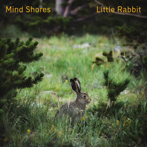 欧美日韩国产中文高清视频
